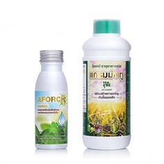 เอฟอช A-FORCH ขนาด 100cc + แกรมม่าทู ขนาด 500cc
