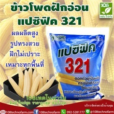 ข้าวโพดฝักอ่อน แปซิกฟิค 321