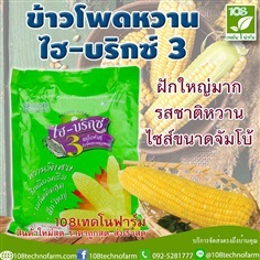 ข้าวโพดหวานไฮ-บริก 3