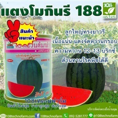 แตงโมกินรี 188