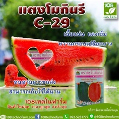 แตงโมกินรีC-29