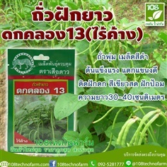 ถัวฝักยาวดกคลอง13 (ไร้ค้าง)