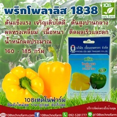 พริกโพลาลิส 1838