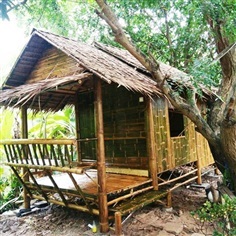 บ้านไม้ใผ่น็อคดาวน์ทรงไทย(Bamboo House)ป้องกันมอดได้ถาวร