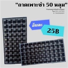 ถาดเพาะชำ 50 หลุม