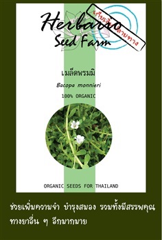 เมล็ดพรมมิ