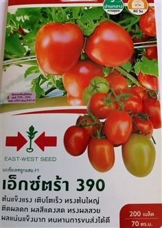 เมล็ดพันธุ์มะเขือเทศลูกผสม Extra 390