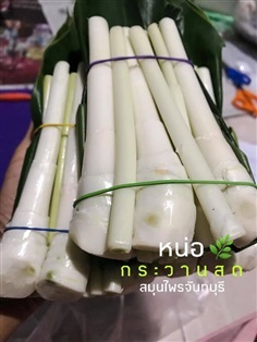 กระวาน