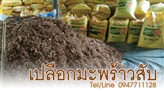 ขายเปลือกมะพร้าวสับ ราคาถูก จัดส่งทั่วประเทศ