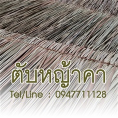 ขายส่งตับหญ้าคา ราคาถูก จัดส่งทั่วประเทศ