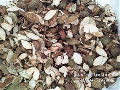 ผิวมะกรูดอบแห้ง (Dried Kaffir lime)