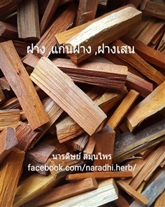 ฝาง แก่นฝาง ฝางเสน