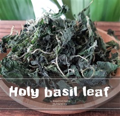 ใบกะเพรา (Holy basil leaf)