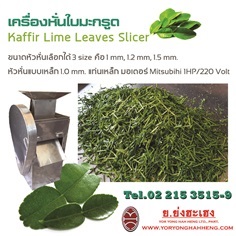 เครื่องหั่นใบมะกรูด Kaffir Lime Leaves Slicer