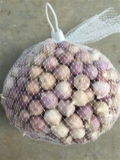 กระเทียมโทน Chiangdao Garlic