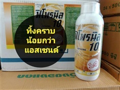 ฟิโพรนิล10% กำจัดปลวก เห็บ หมัด เหมาะกับบ้านและโรงเรือน 