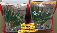 ผักบุ้งจีนใบไผ่,ผักบุ้งจีน