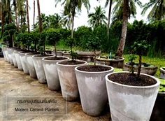 กระถางปูนซิเมนต์โมเดิร์น  |  Modern Cement Planters