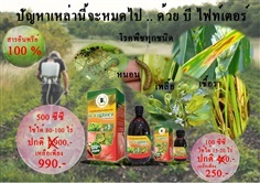 บี-ไฟท์เตอร์ : สารเสริมภูมิคุ้มกันพืชอินทรีย์