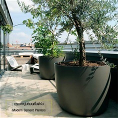 กระถางซิเมนต์โมเดิร์น | Modern Cement Planter