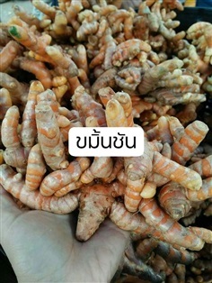 ขมิ้นชัน