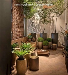 กระถางปูนซิเมนต์โมเดิร์น | Modern Cement Planter