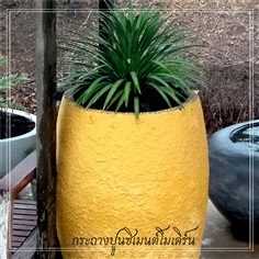 กระถางปูนซิเมนต์โมเดิร์น | Modern Cement Planter