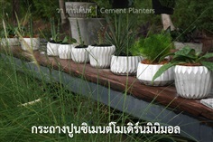 กระถางปูนซิเมนต์โมเดิร์นมินิมอล | Minimal Cement Planters