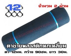  ตาข่ายพลาสติก หกเหลี่ยม ตา12มม. สีดำ 0.90*30ม. 2ม้วน