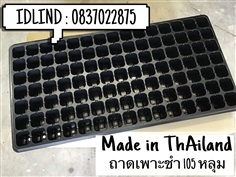 ถาดเพาะชำ 105 ( ผลิตในประเทศไทย )