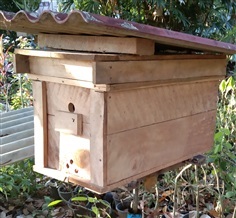 กล่องเลี้ยงผึ้ง Patcha มิ้นโต