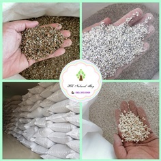 Golden Vermiculite(เวอร์มิคูไลท์)