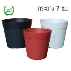 กระถางแคคตัส 7 ซม 2.75 นิ้ว (สีดำ สีอิฐแดง สีขาว)