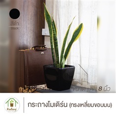 กระถางโมเดิร์น สีดำ ขนาดปาก 8&quot; ทรงเหลี่ยมขอบมน มีฐานรองในตัว