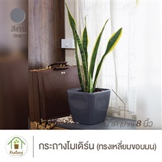 กระถางโมเดิร์น สีเทาขนาดปาก 8&quot; ทรงเหลี่ยมขอบมน มีฐานรองในตัว