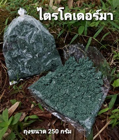 ไตรโคเดอร์มา