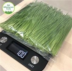 ต้นอ่อนข้าวสาลี 100 g.