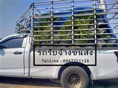 รถกระบะรับจ้างขนส่งทั่วไทย