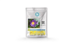 เมล็ดบัว