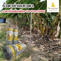 รั้วตาข่าย เทวดา  ราคาประหยัด ทนสนิม 30 ปี จัดส่งทั่วประเทศ