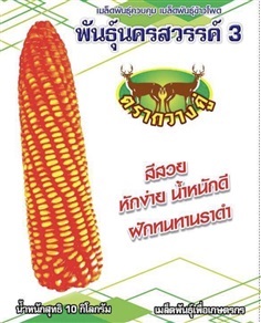 เมล็ดพันธุ์ข้าวโพดนครสวรรค์3