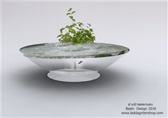 Basin Design Future