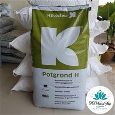 Peat moss พีทมอส คลาสแมน 