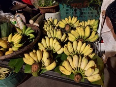 กล้วยน้ำว้าสุพรรณบุรี
