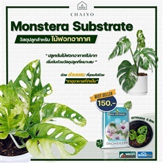 วัสดุปลูกมอนสเตอร่า ไม้ฟอกอากาศและกล้วยไม้ 5 ลิตร  Monstera 