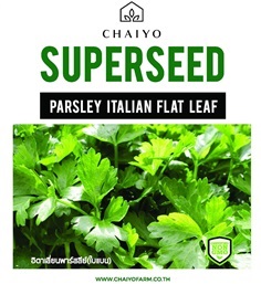 เมล็ด Parsley (Italian Flat leaf)  อิตาเลียนพาร์สลีย์ (ใบเรี