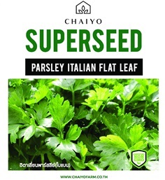 เมล็ด Parsley (Italian Flat leaf)  อิตาเลียนพาร์สลีย์ (ใบเรี