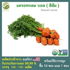 เมล็ด แครอท กลม (Round Carrot)