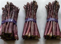 หน่อไม้ฝรั่งม่วงpurple asparagus