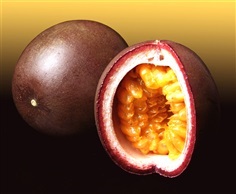 จำหน่ายกล้าเสาวรส พันธุ์ ไทนุง Passion Fruit